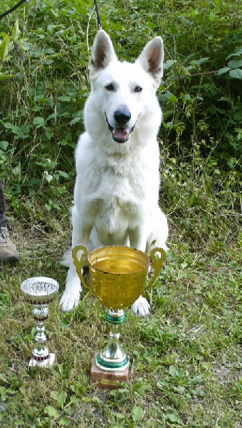 Vany des gardiens du vieux manoir