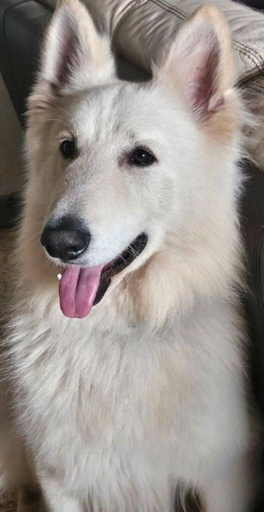 Snow Du Domaine De La Rivière Verte